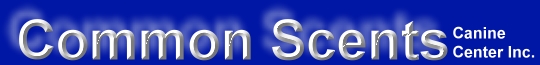 Common Scents Logo